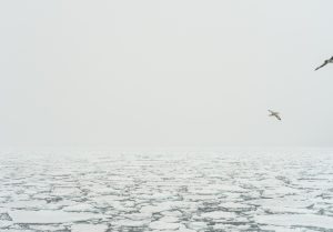 Beyond the North Beyond the North