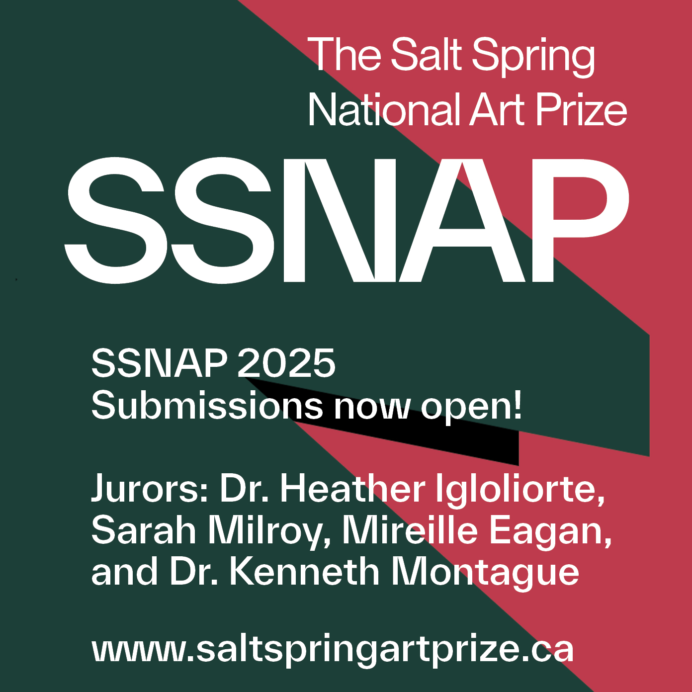 Salt Springs National Art Prize