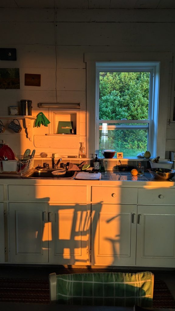 Image courtesy of Sameer Farooq, MacKinnon’s Brook, August 2024