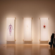 Sarah Maloney’s Pleasure Ground