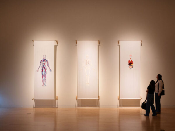 Sarah Maloney’s Pleasure Ground