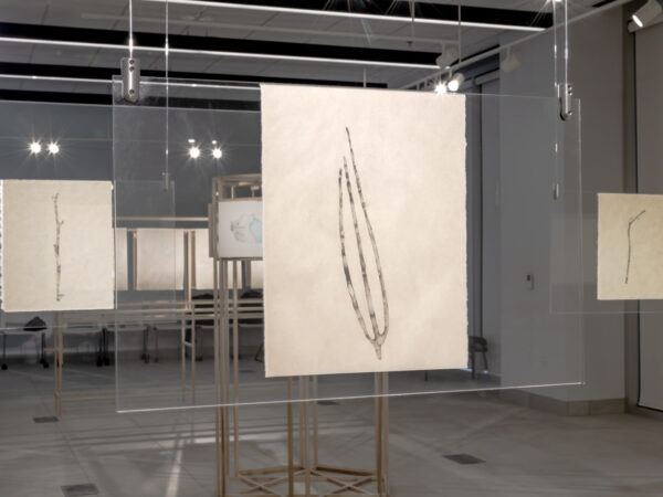 Angela Henderson, stick 7, from the ciphers series (2026). Graphite, Kitikata paper. Photo: Robert Bean