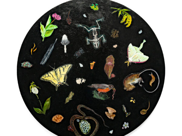 Untitled (2024), coloured pencil, watercolour, and gouache on paper, mounted on wood, Donica Larade. Photo by the artist.